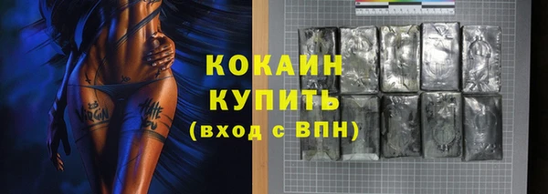стафф Арсеньев