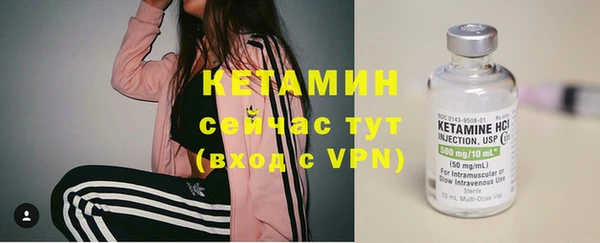 стафф Арсеньев
