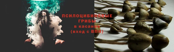 стафф Арсеньев