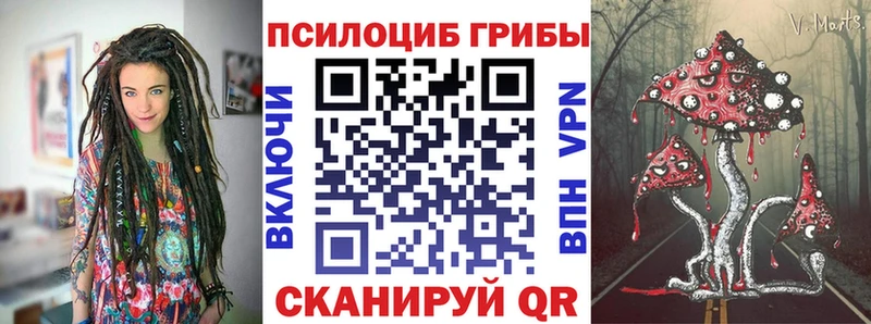 Галлюциногенные грибы Psilocybine cubensis  купить закладку  Балей 